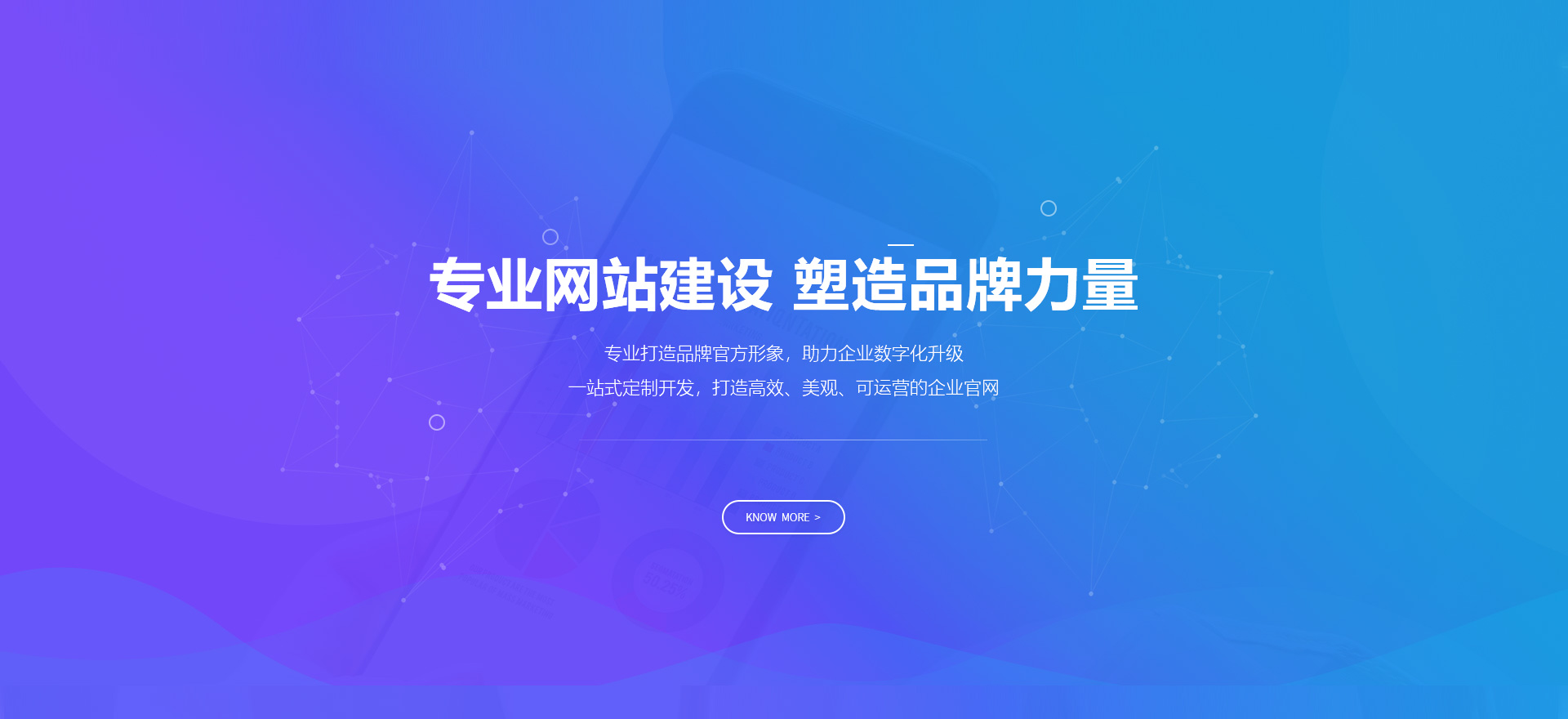 昌江建站-专业网站建设 塑造品牌力量